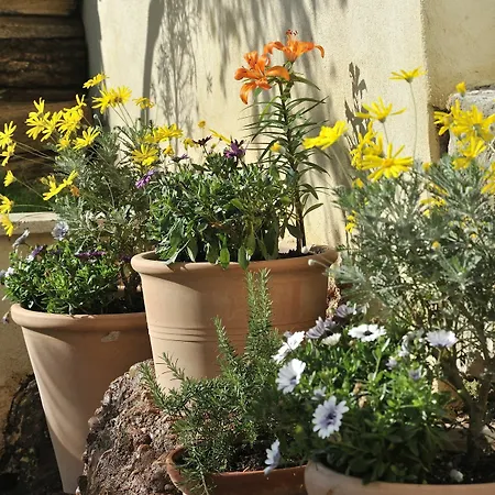 Du Roc Fleuri Bed & Breakfast 2*